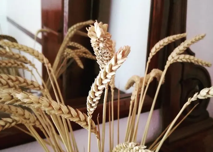 Casa Do Sr. Alberto Dom wakacyjny Praia da Vitória