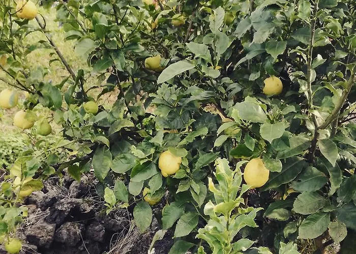 Dom wakacyjny Casa Do Sr. Alberto *