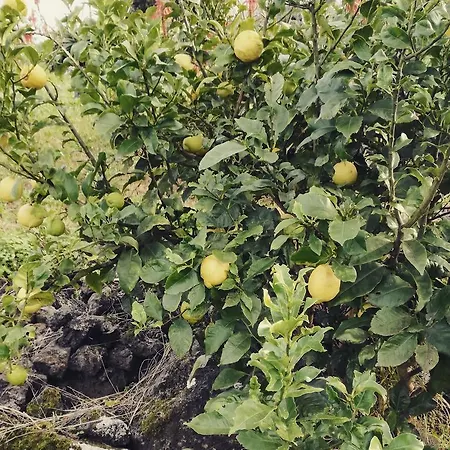 Casa de Férias Casa Do Sr. Alberto *